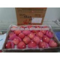 Alta calidad China Venta caliente Fresh Fuji Apple